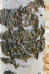 Similar image 21071664