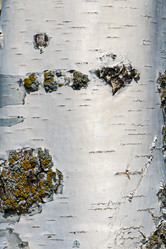 Similar image 21071665