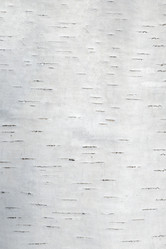 Similar image 21071666