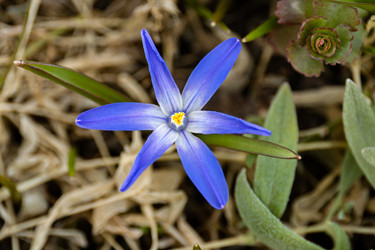 Similar image 21071667