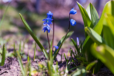 Similar image 21071668