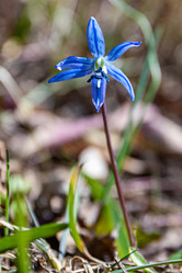 Similar image 21071669