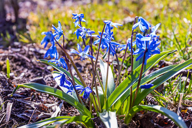 Similar image 21071672