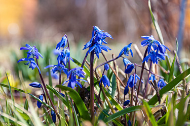 Similar image 21071673