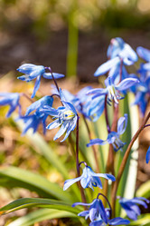 Similar image 21071674