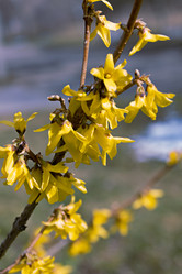 Similar image 21071679