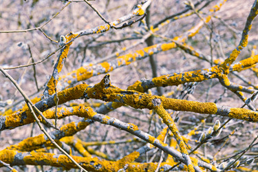 Similar image 21071682