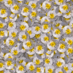 Similar image 21061069