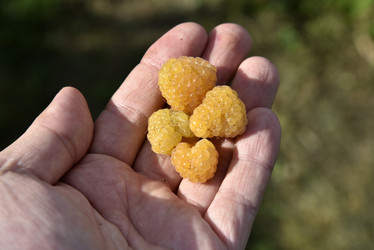 Similar image 21030011