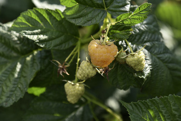 Similar image 21030013