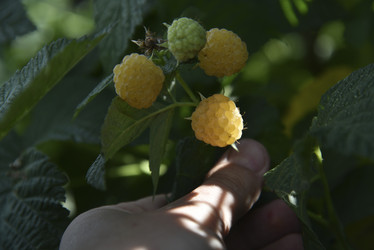 Similar image 21030014