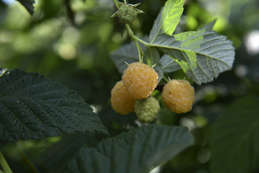 Similar image 21030015