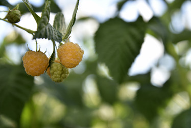 Similar image 21030016