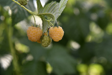 Similar image 21030017