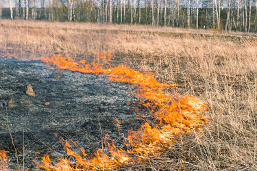 Similar image 21067603