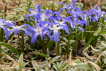 Similar image 21071139