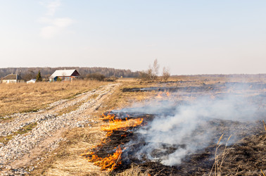 Similar image 21071141