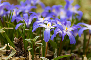 Similar image 21071142