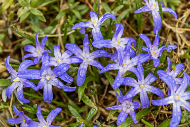 Similar image 21071143