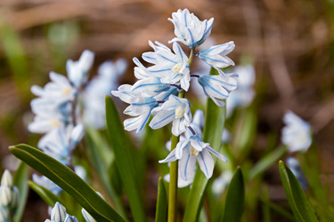 Similar image 21071145