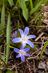 Similar image 21071147