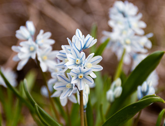 Similar image 21071148