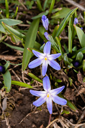 Similar image 21071150