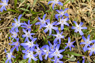 Similar image 21071151