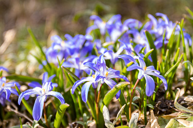 Similar image 21071152