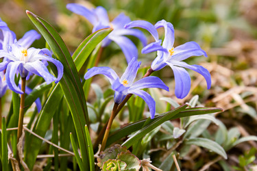 Similar image 21071530