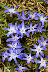 Similar image 21071531