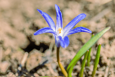 Similar image 21071534