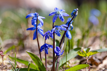 Similar image 21071536