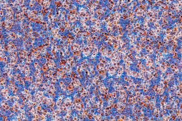 Similar image 21071538