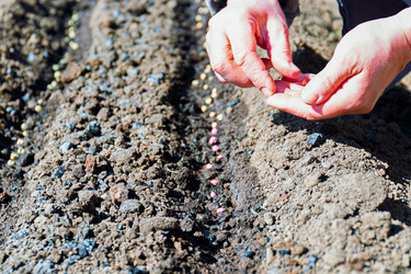 Similar image 21071539