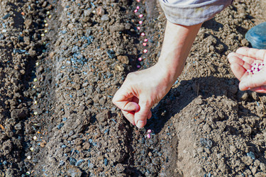 Similar image 21071570