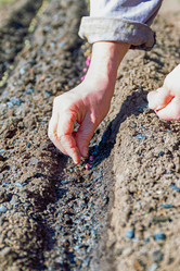 Similar image 21071572