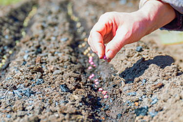 Similar image 21071573