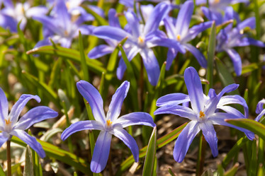 Similar image 21071574