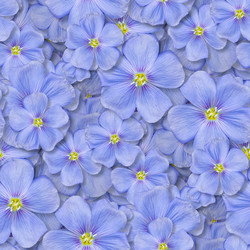 Similar image 21071684