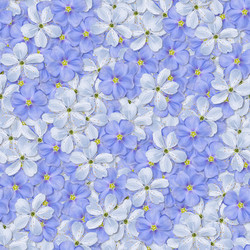 Similar image 21071685