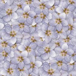 Similar image 21071686