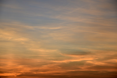 Similar image 21030098