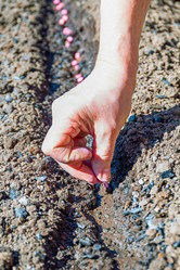 Similar image 21071691