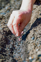 Similar image 21071693