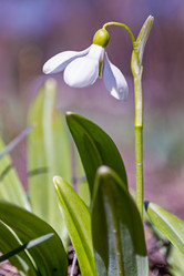 Similar image 21070900