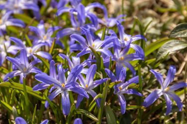 Similar image 21070901