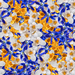 Similar image 21070902