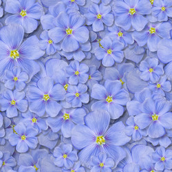 Similar image 21070903