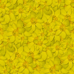 Similar image 21070904